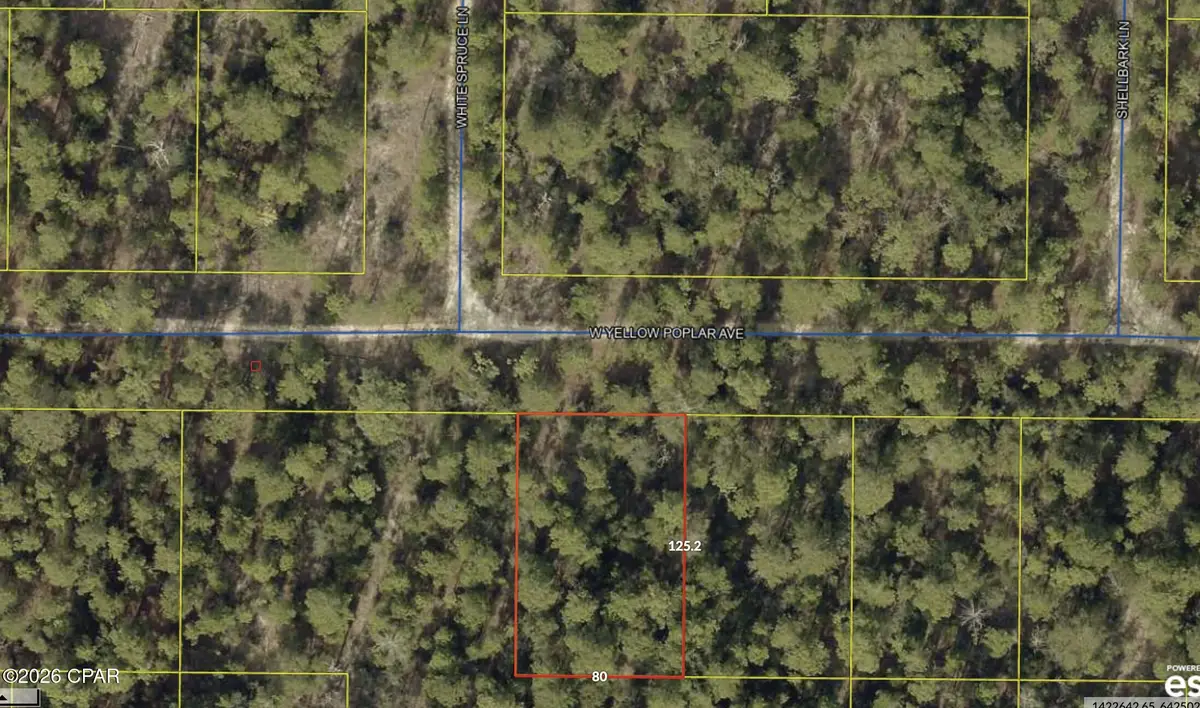 0 W Yellow Poplar Avenue, Defuniak Springs, FL 32433 - #1