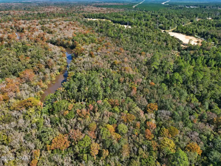 0000 Strickland Road, Ebro, FL 32437 - #2