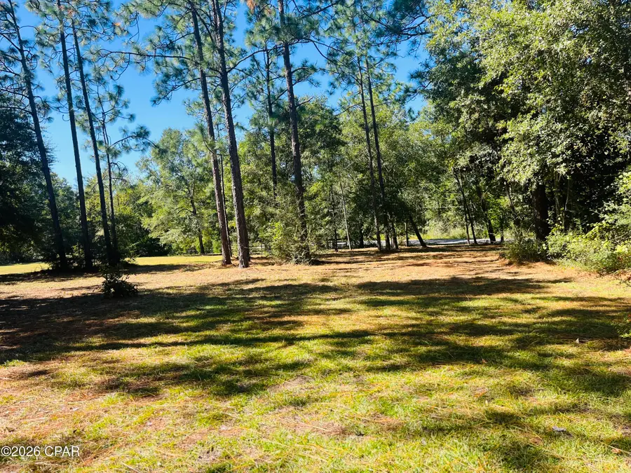 00 Compass Lake Dr, Alford, FL 32420 - #3