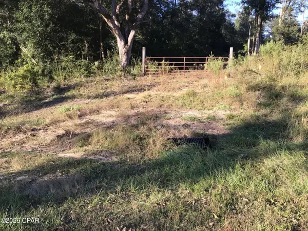 0000 Pate Pond Rd, Caryville, FL 32427