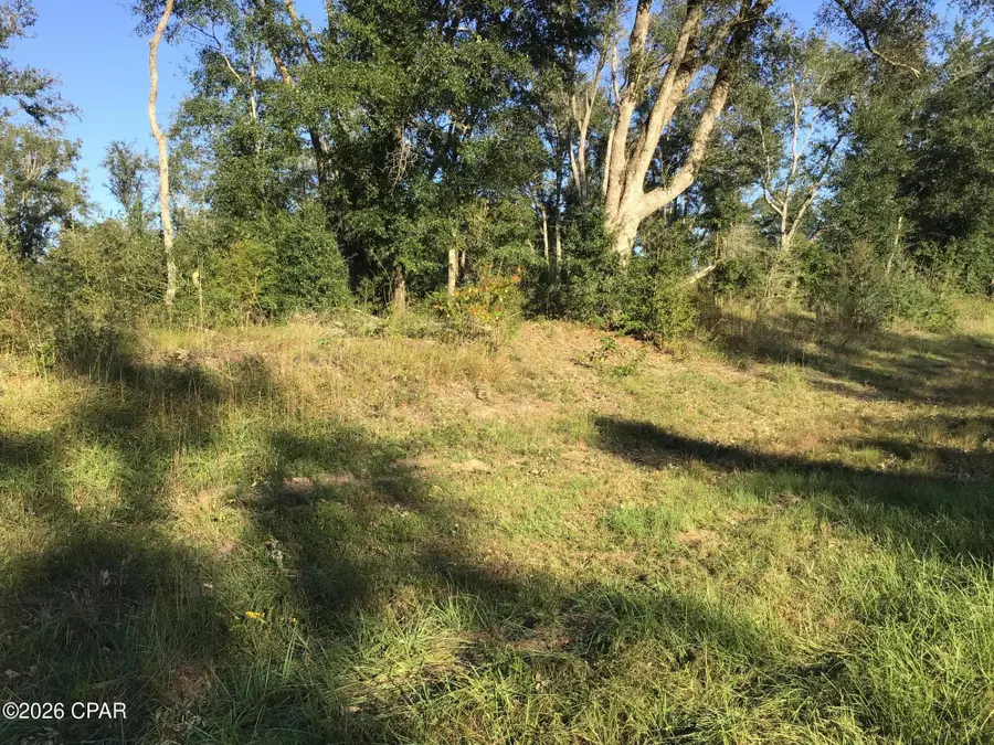 0000 Pate Pond Rd, Caryville, FL 32427 - #3