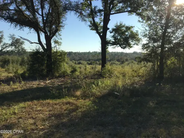 00000 Pate Pond Rd Road, Caryville, FL 32427