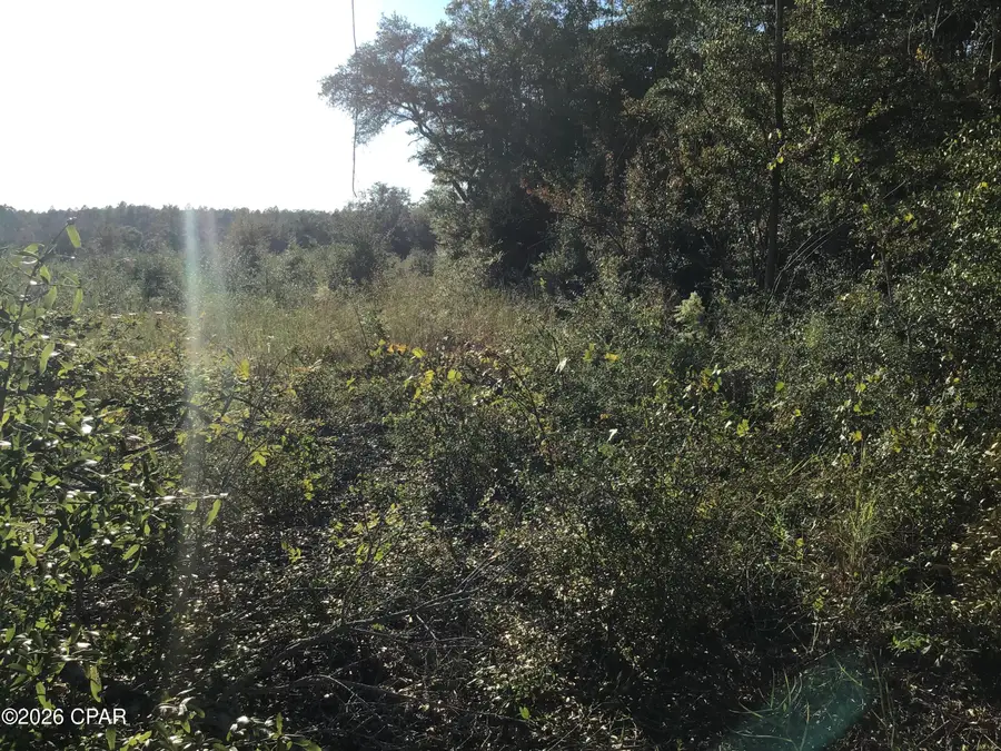 00000 Pate Pond Rd Road, Caryville, FL 32427 - #2