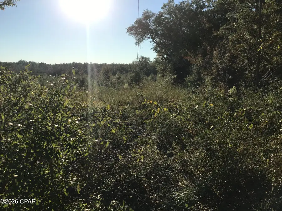 00000 Pate Pond Rd Road, Caryville, FL 32427 - #3