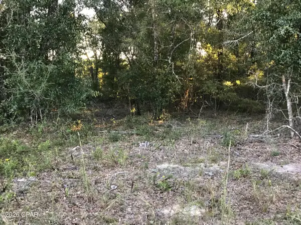 000000 Pate Pond Rd, Caryville, FL 32427
