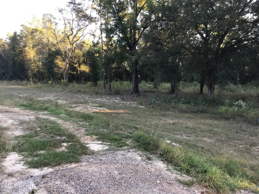 000000 Pate Pond Rd, Caryville, FL 32427 - #3