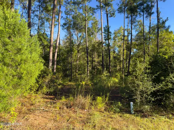 TBD Canning Drive, Wewahitchka, FL 32465