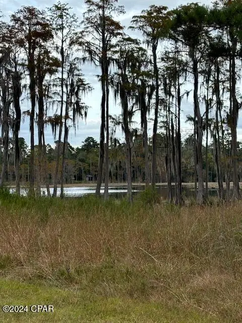 00000 Everest Drive, Chipley, FL 32428 - #1