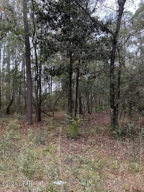 00000 Everest Drive, Chipley, FL 32428 - #2