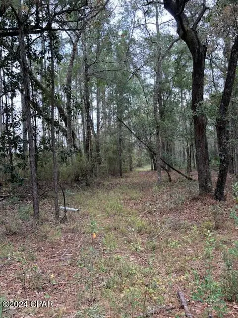 00000 Everest Drive, Chipley, FL 32428 - #3