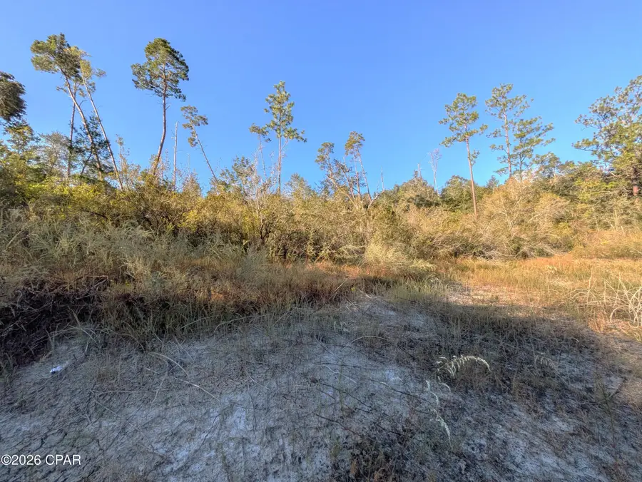 00 Peaceful Lane, Chipley, FL 32428 - #3