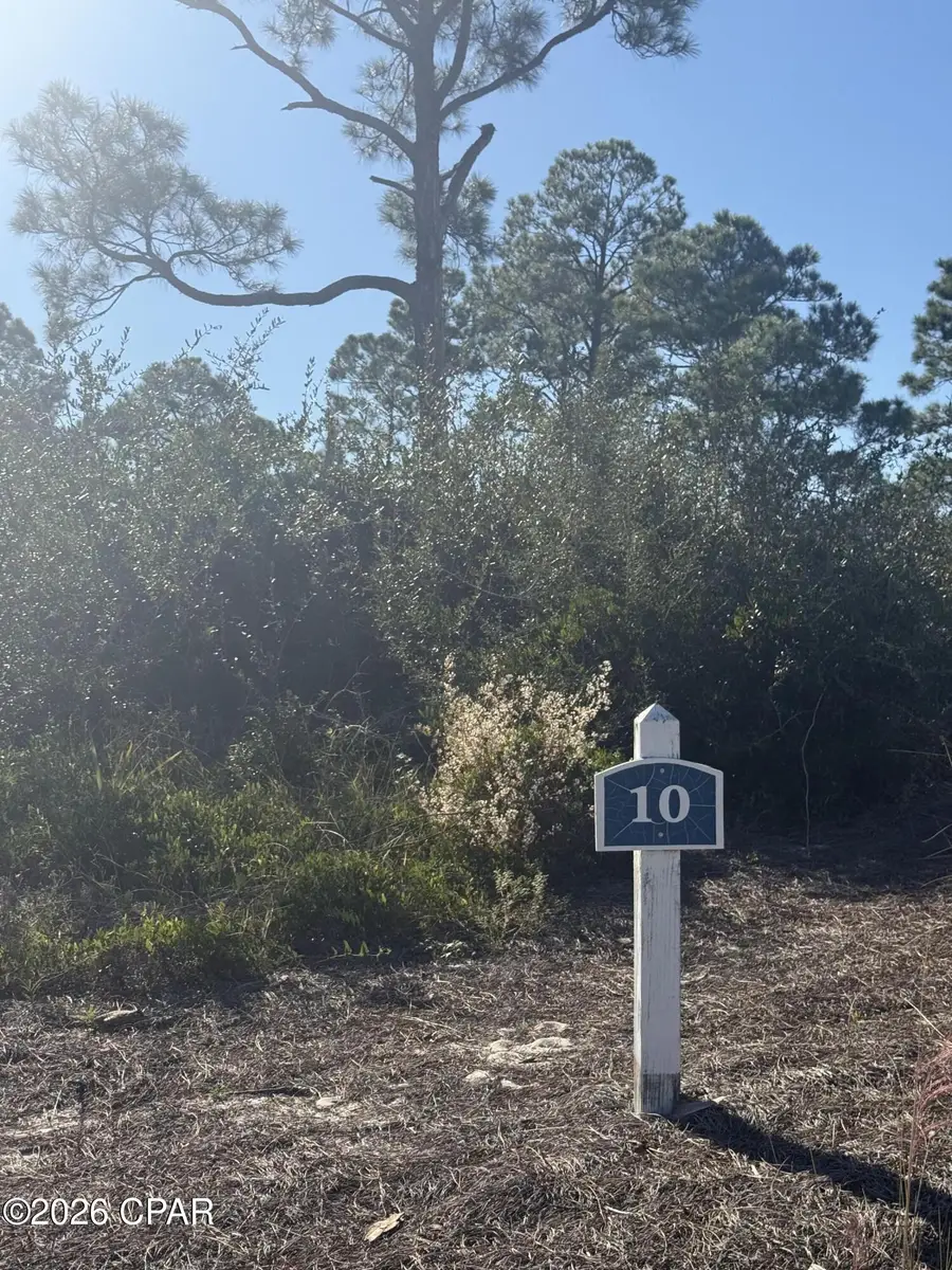 393 Cord Grass Way, Port Saint Joe, FL 32456 - #2