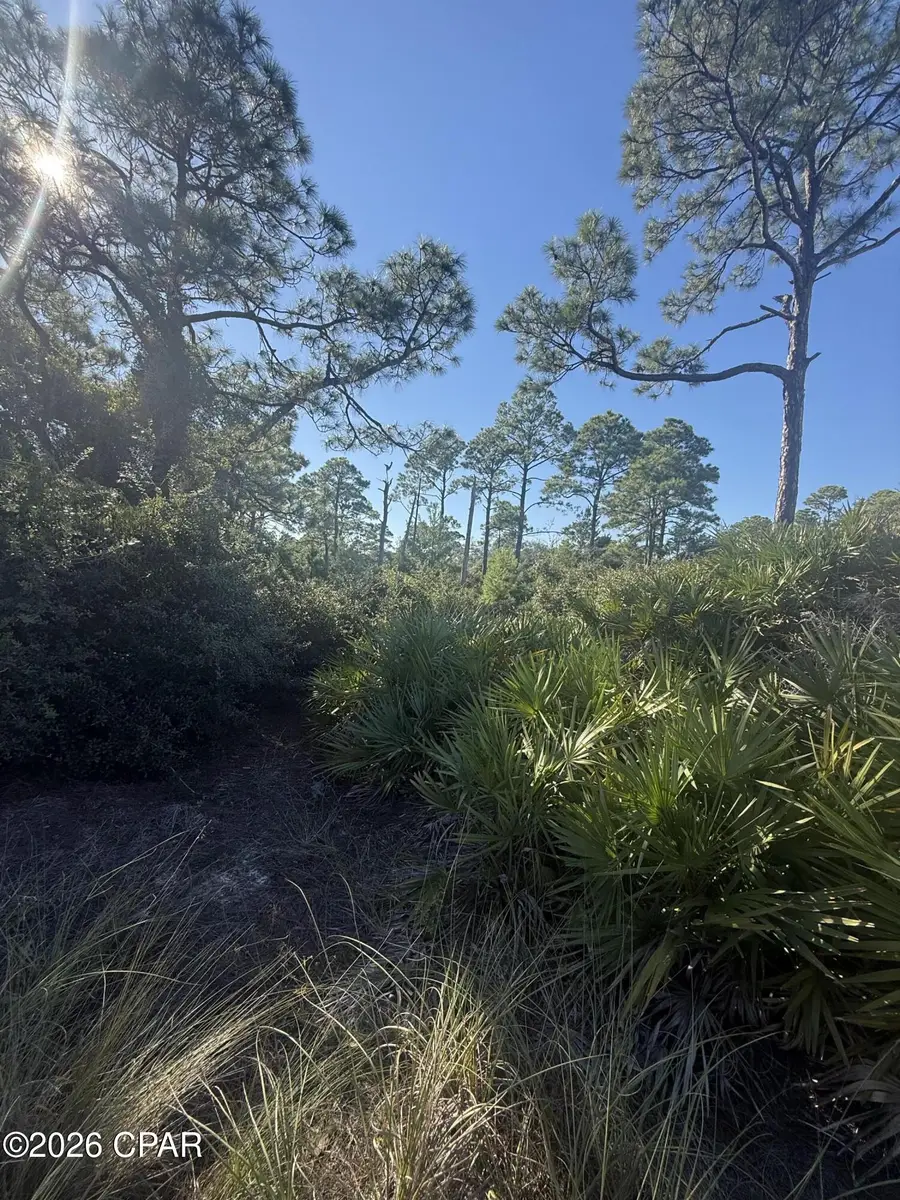 393 Cord Grass Way, Port Saint Joe, FL 32456 - #3
