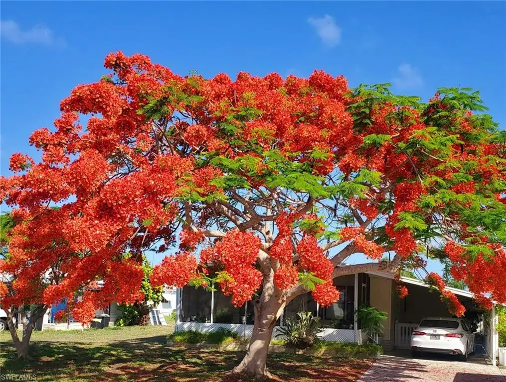 26257 Queen Mary Ln, Bonita Springs, FL 34135 - Image #1