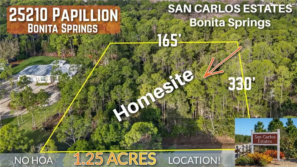 25210 Papillion Dr, Bonita Springs, FL 34135 - #1