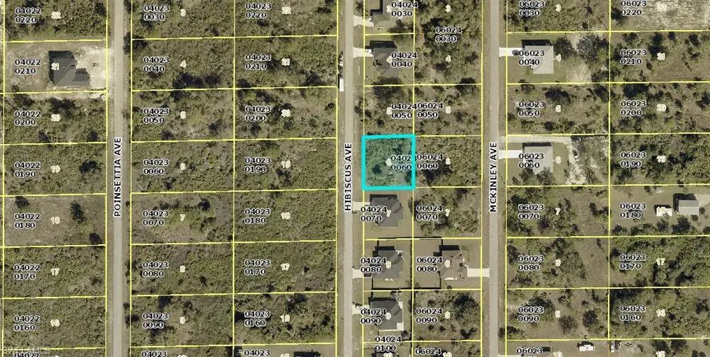 1312 Hibiscus Ave, Lehigh Acres, FL 33972 - #1