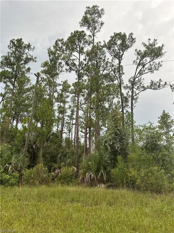 373/375 Greenbriar Blvd, LEHIGH ACRES, FL 33972