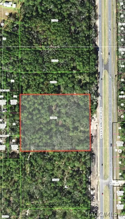 10064 S Suncoast Boulevard, Homosassa, FL 34446 - Image #3