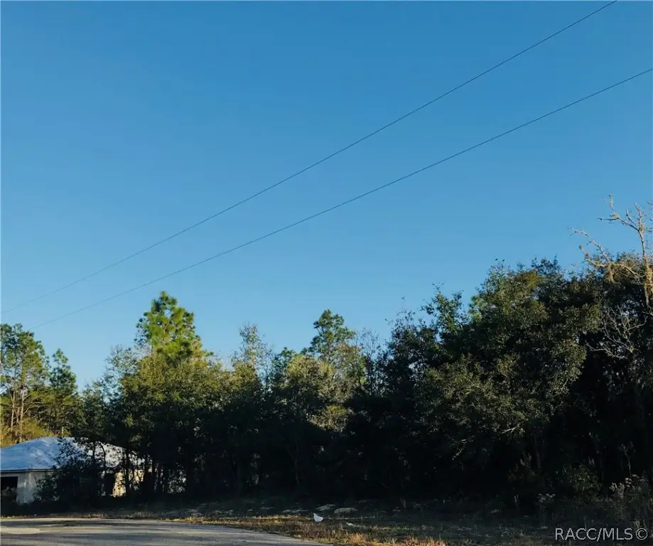 2590 W Bravura Drive, Citrus Springs, FL 34433 - #1