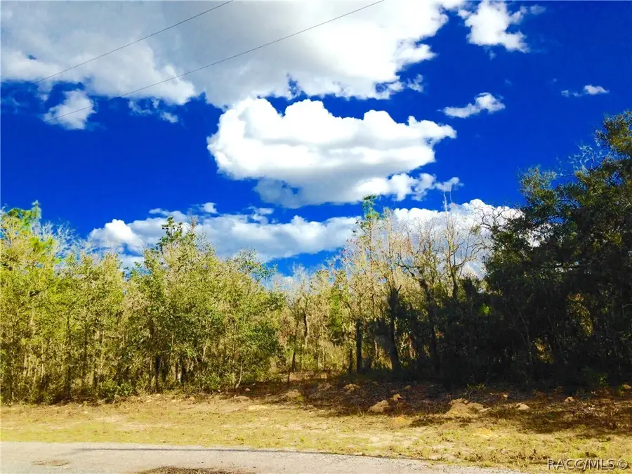 2590 W Bravura Drive, Citrus Springs, FL 34433 - #3