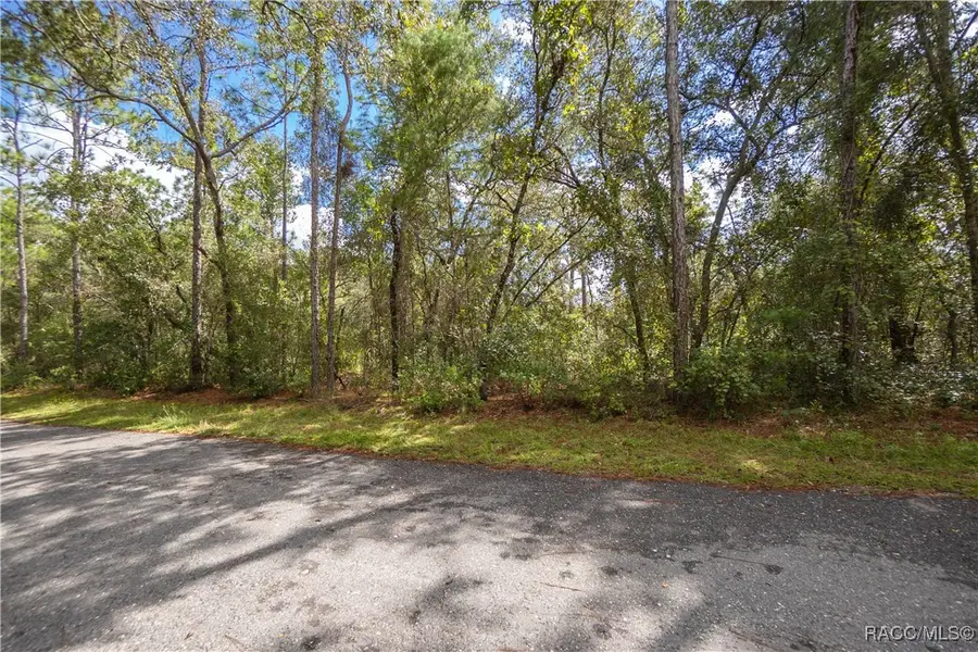 3210 E Michael Street, Inverness, FL 34453 - Image #3