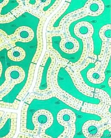 8 Smilax Court S, Homosassa, FL 34446 - Image #1