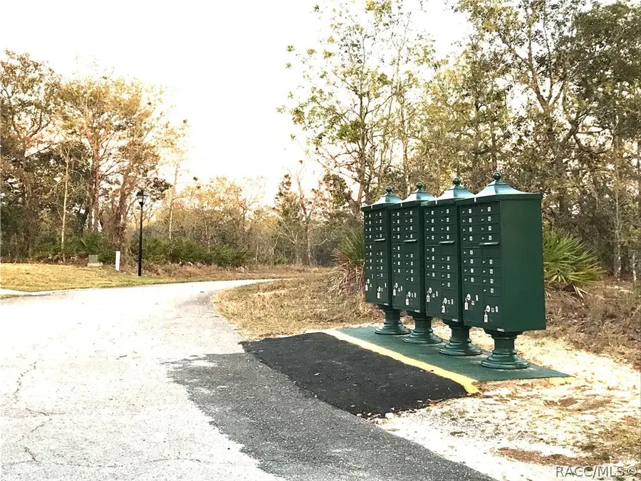 8 Smilax Court S, Homosassa, FL 34446 - Image #3