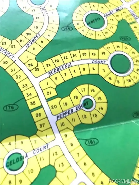 4 Rudbeckia Court, Homosassa, FL 34446 - Image #1