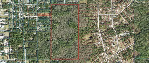 1500 S Candlenut Avenue, Homosassa, FL 34448