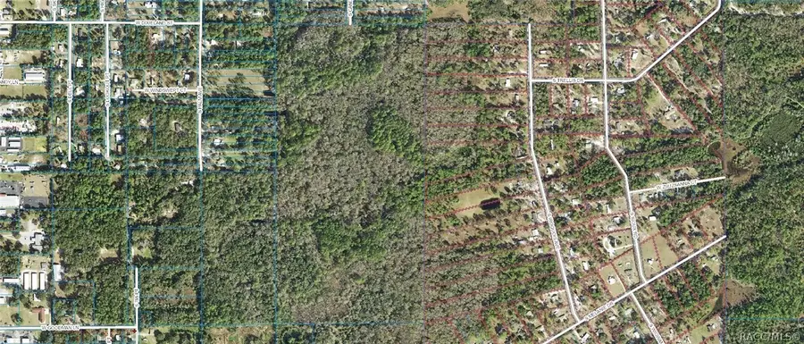 1500 S Candlenut Avenue, Homosassa, FL 34448 - Image #2