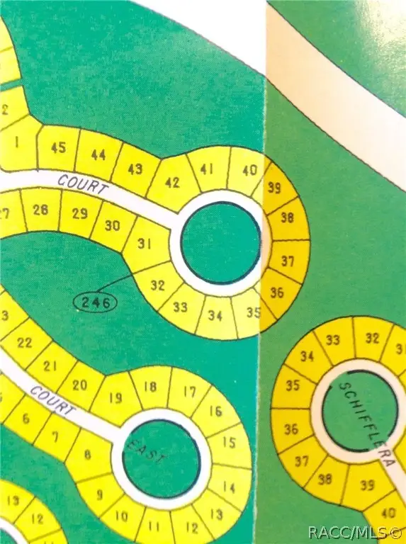 47 Matricaria Court, Homosassa, FL 34446