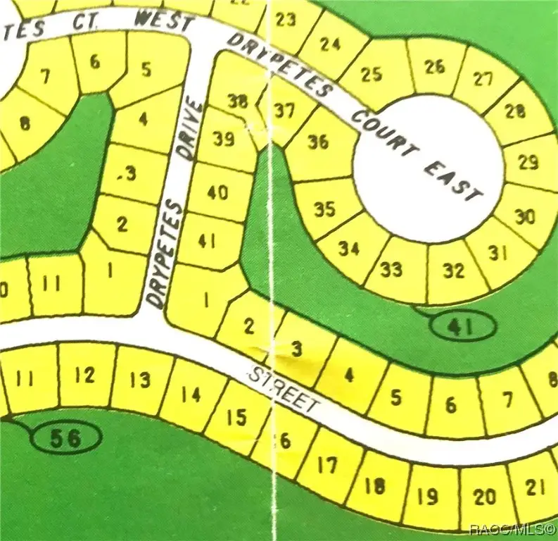 35 Whitewood Street, Homosassa, FL 34446 - Image #2