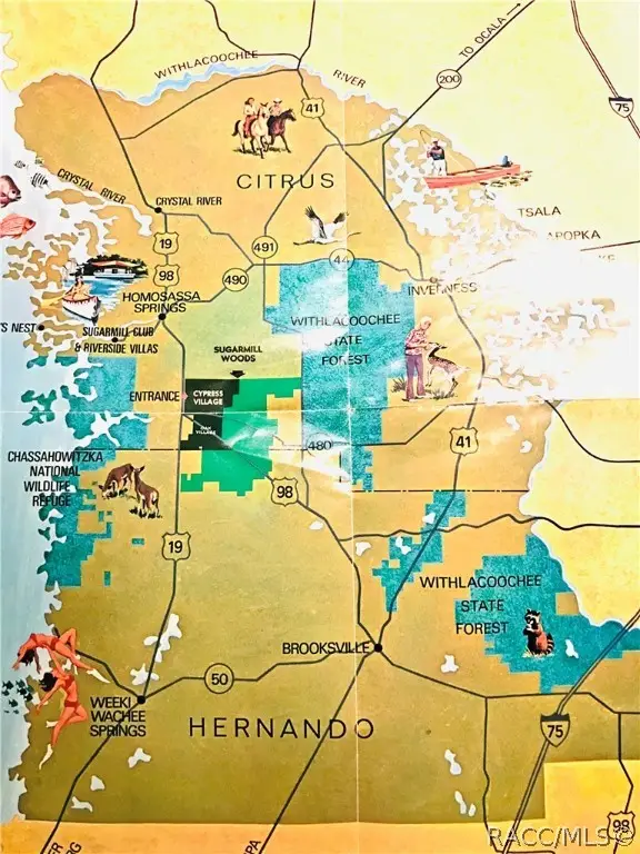 35 Whitewood Street, Homosassa, FL 34446 - Image #3