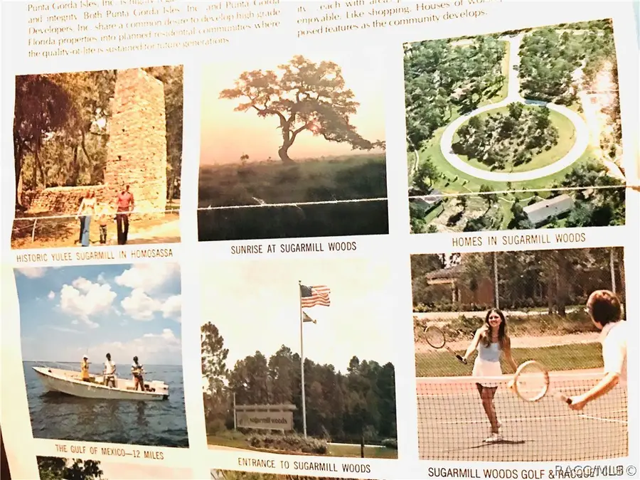 204 Pine Street, Homosassa, FL 34446 - Image #3