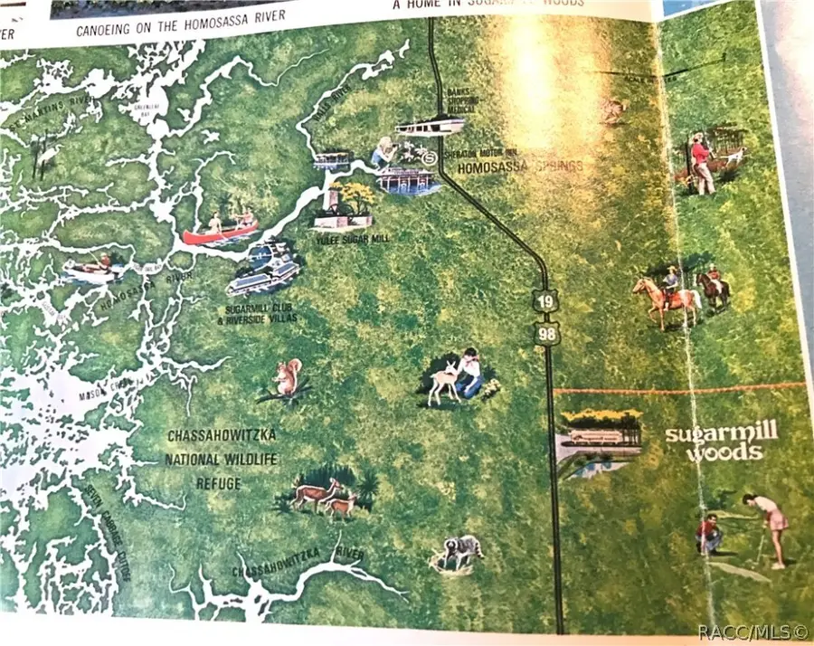 13 Cactus Street, Homosassa, FL 34446 - Image #3