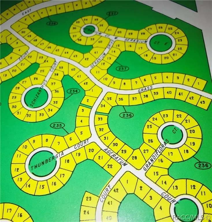 3 Geranium Court W, Homosassa, FL 34446 - Image #2