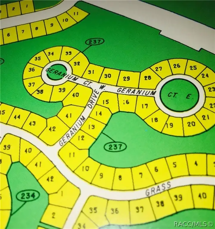 3 Geranium Court W, Homosassa, FL 34446 - Image #3