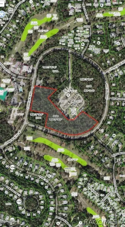 110 Cypress Circle, Homosassa, FL 34446 - Image #3