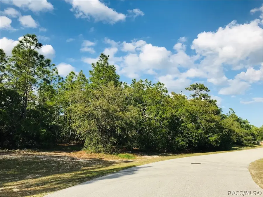 25 Highwood Path, Homosassa, FL 34446 - Image #2