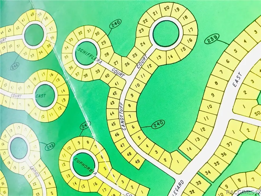 8 Schefflera Court, Homosassa, FL 34446 - Image #2