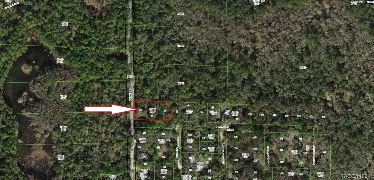 5711 E Squaw Court, Hernando, FL 34442 - Image #1
