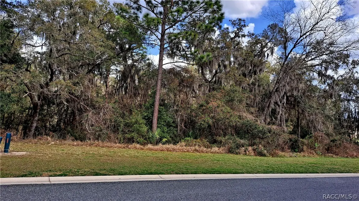 2293 N Heritage Oaks Path, Hernando, FL 34442 - Image #1