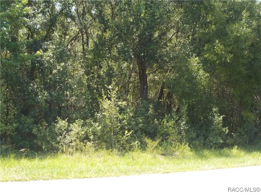 1964 E Celina Street, Inverness, FL 34453 - Image #3