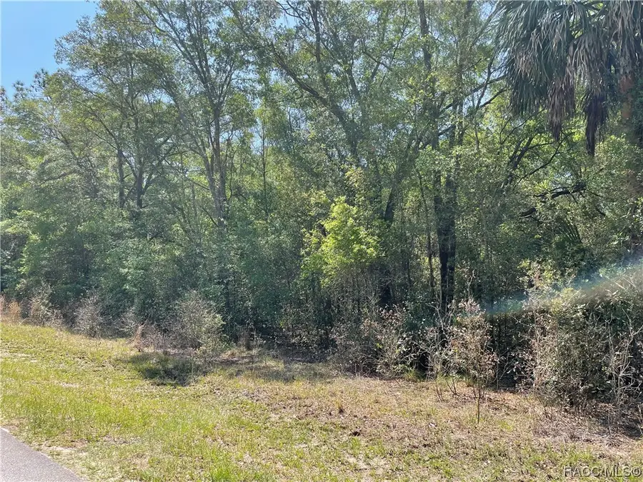 8244 W Basilico Street, Crystal River, FL 34428 - Image #2