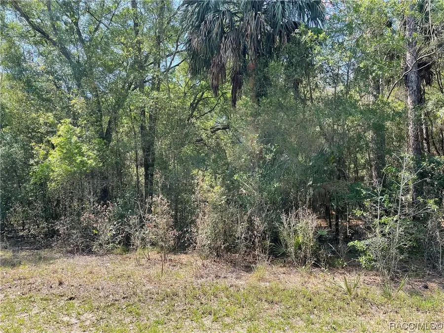 8244 W Basilico Street, Crystal River, FL 34428 - Image #3