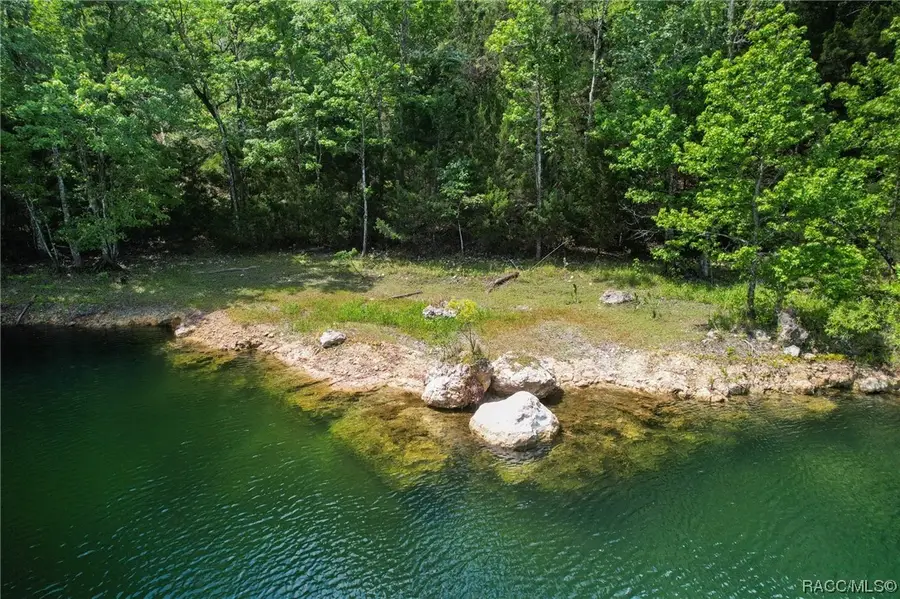 9986 E New Hope Court, Floral City, FL 34436 - #2