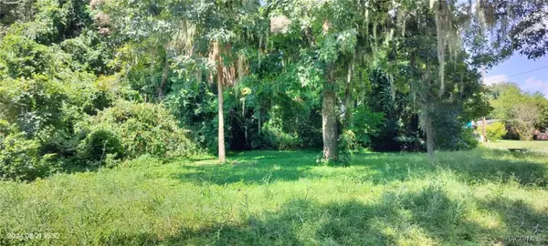1980 S Tsala Terrace, Inverness, FL 34450
