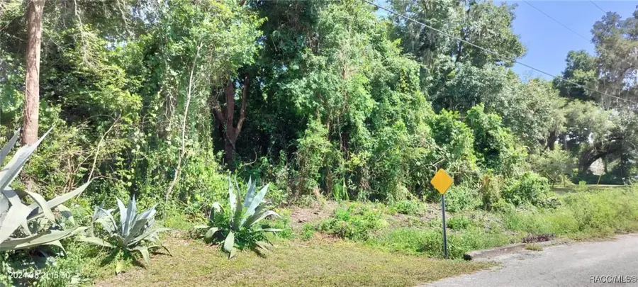 1980 S Tsala Terrace, Inverness, FL 34450 - Image #2