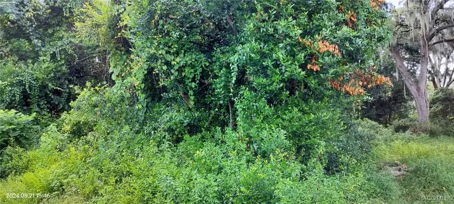 1980 S Tsala Terrace, Inverness, FL 34450 - Image #3