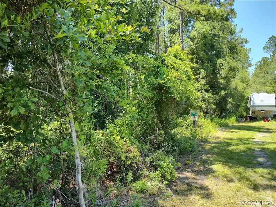 0000 NE 65th Court, Citra, FL 32113 - Image #2